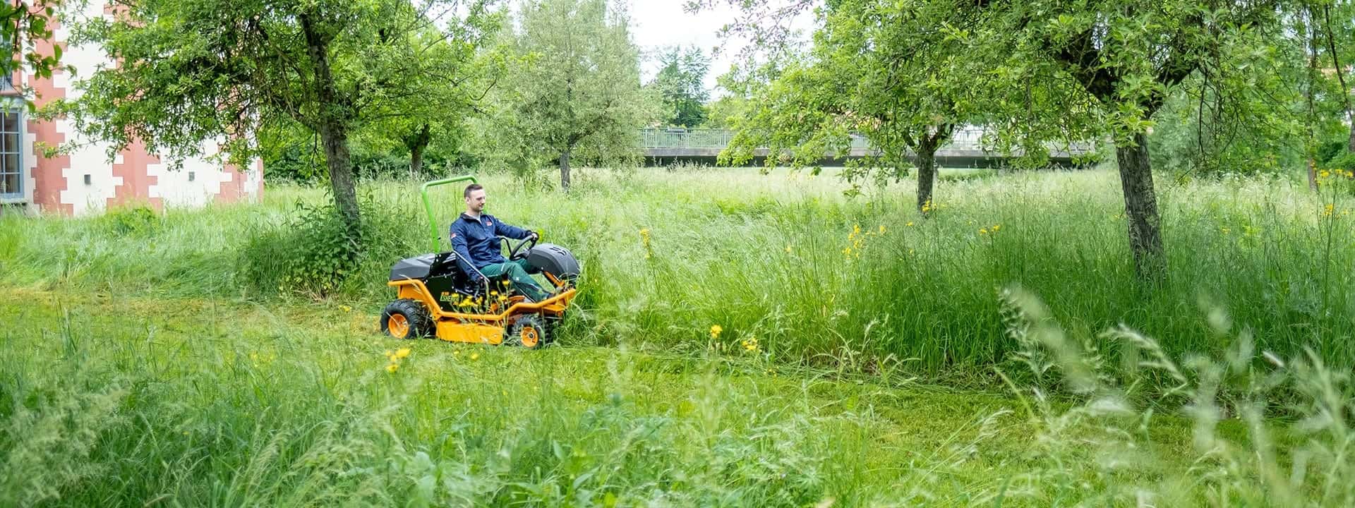 elektrischer Hochgrasmäher mit Wechsel-Akku
